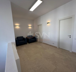 Casa, 6 rooms, 370 mp Bucuresti/Iancu Nicolae