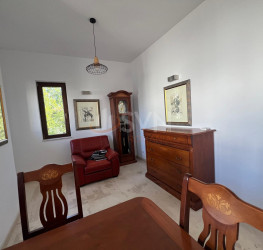 Casa, 6 rooms, 370 mp Bucuresti/Iancu Nicolae