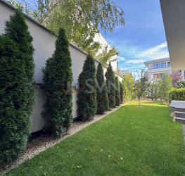 Casa, 7 camere, 201 mp Ilfov/Mogosoaia