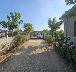 Casa, 7 camere, 220 mp Ilfov/Ciorogarla