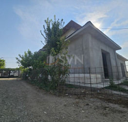 Casa, 7 camere, 220 mp Ilfov/Ciorogarla