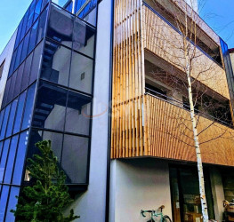 Casa, 7 camere, 240 mp Bucuresti/Dorobanti