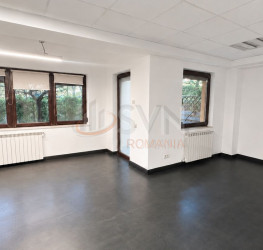Casa, 7 camere, 240 mp Bucuresti/Floreasca