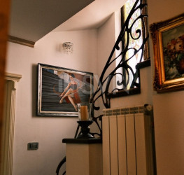 Casa, 7 camere, 315 mp Bucuresti/Domenii