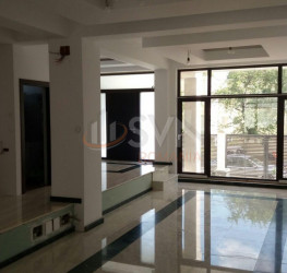 Casa, 7 camere, 400 mp Bucuresti/Floreasca