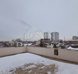Casa, 7 camere, 400 mp Bucuresti/Floreasca