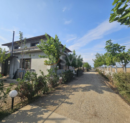 Casa, 7 rooms, 220 mp Ilfov/Ciorogarla