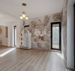 Casa, 7 rooms, 285 mp Bucuresti/Iancu Nicolae