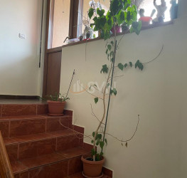 Casa, 7 rooms, 330 mp Bucuresti/Herastrau