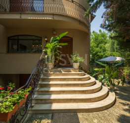 Casa, 7 rooms, 380 mp Bucuresti/Iancu Nicolae