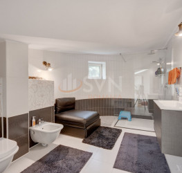 Casa, 7 rooms, 380 mp Bucuresti/Iancu Nicolae