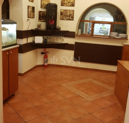 Casa, 8 camere, 250 mp Bucuresti/Cismigiu