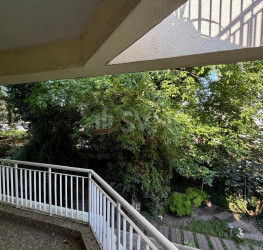 Casa, 8 camere, 260 mp Bucuresti/Floreasca