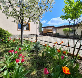 Casa, 8 camere, 280 mp Ilfov/Otopeni