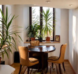 Casa, 8 camere, 335 mp Ilfov/Balotesti