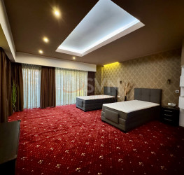 Casa, 8 camere, 380 mp Bucuresti/Colentina