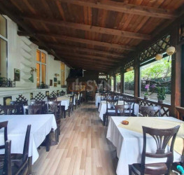 Casa, 8 rooms, 250 mp Bucuresti/Cismigiu