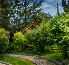 Casa, 8 rooms, 335 mp Ilfov/Balotesti