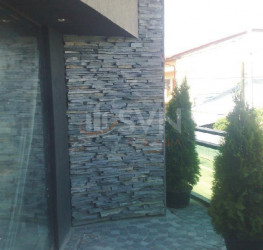 Casa, 8 rooms, 500 mp Bucuresti/Colentina
