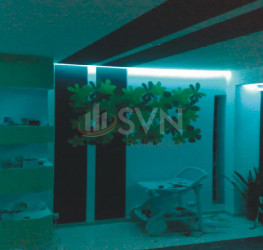 Casa, 8 rooms, 500 mp Bucuresti/Colentina