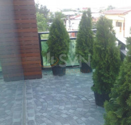 Casa, 8 rooms, 500 mp Bucuresti/Colentina