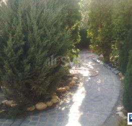 Casa, 8 rooms, 500 mp Bucuresti/Colentina