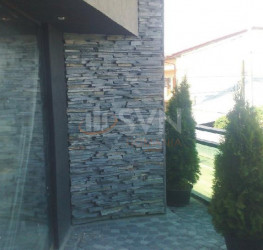 Casa, 8 rooms, 500 mp Bucuresti/Colentina