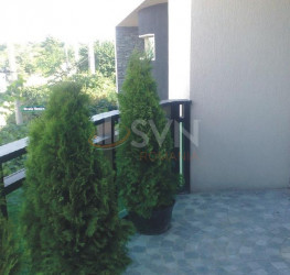 Casa, 8 rooms, 500 mp Bucuresti/Colentina