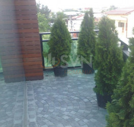 Casa, 8 rooms, 500 mp Bucuresti/Colentina
