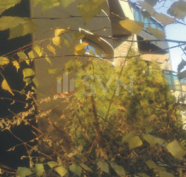 Casa, 8 rooms, 500 mp Bucuresti/Colentina