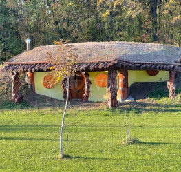 Casa, 9 camere, 1000 mp Ilfov/Gradistea