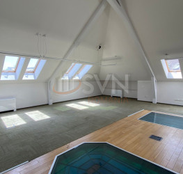Casa, 9 camere, 820 mp Bucuresti/Armeneasca