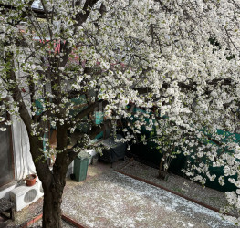 Casa, 9 rooms, 232.15 mp Bucuresti/Pache Protopopescu