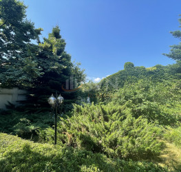 Casa, 9 rooms, 450 mp Bucuresti/Bucurestii Noi