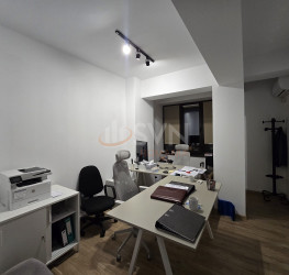 Casa, 9 rooms, 485 mp Bucuresti/Domenii