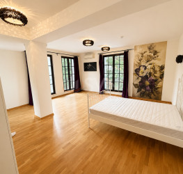 Casa, 9 rooms, 532 mp Bucuresti/Iancu Nicolae