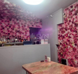 Spatiu comercial Bucuresti/Dorobanti