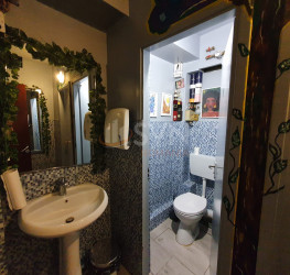 Spatiu comercial Bucuresti/Gradina Icoanei