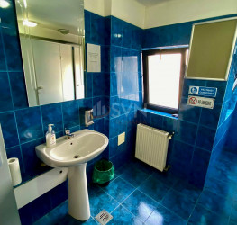 Spatiu comercial Bucuresti/Dacia