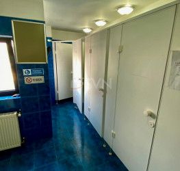 Spatiu comercial Bucuresti/Dacia