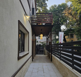 Spatiu comercial Bucuresti/Domenii