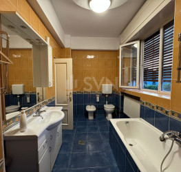 Spatiu comercial Bucuresti/Dorobanti