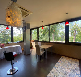 Spatiu comercial Bucuresti/Tineretului