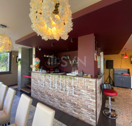 Spatiu comercial Bucuresti/Tineretului