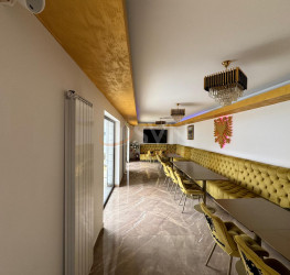Spatiu comercial Ilfov/Popesti-leordeni
