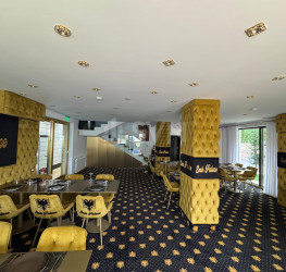 Spatiu comercial Ilfov/Popesti-leordeni