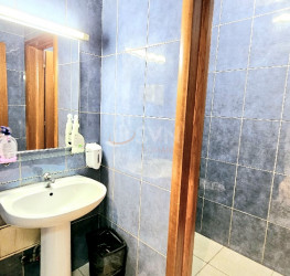 Spatiu comercial Bucuresti/Domenii