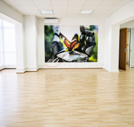Spatiu comercial Bucuresti/Domenii