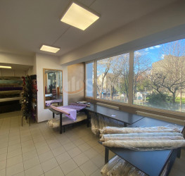 Spatiu comercial Bucuresti/Pache Protopopescu
