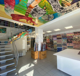 Spatiu comercial Bucuresti/Pache Protopopescu